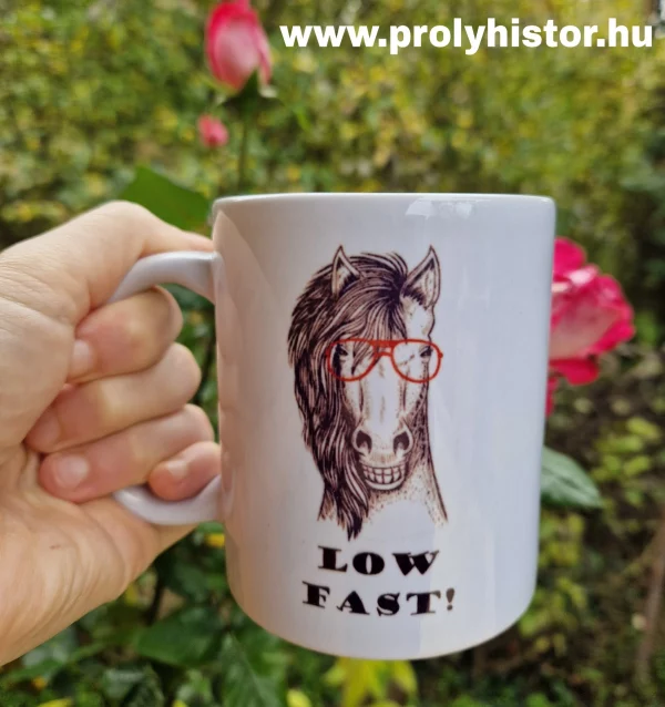 LowFast!