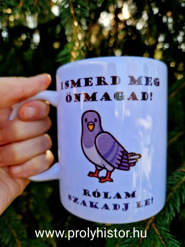 Önismereti bögre