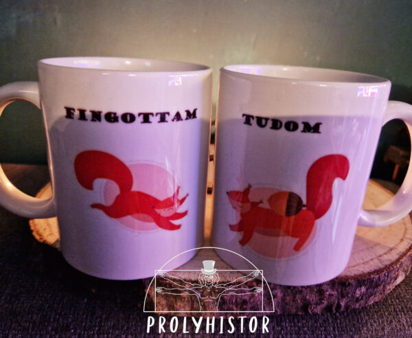 Fingottam-Tudom Mókuskák