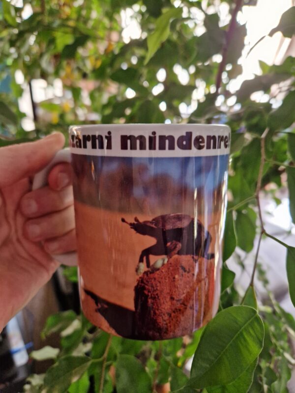 Szarni mindenre! - A hitelesség fontos