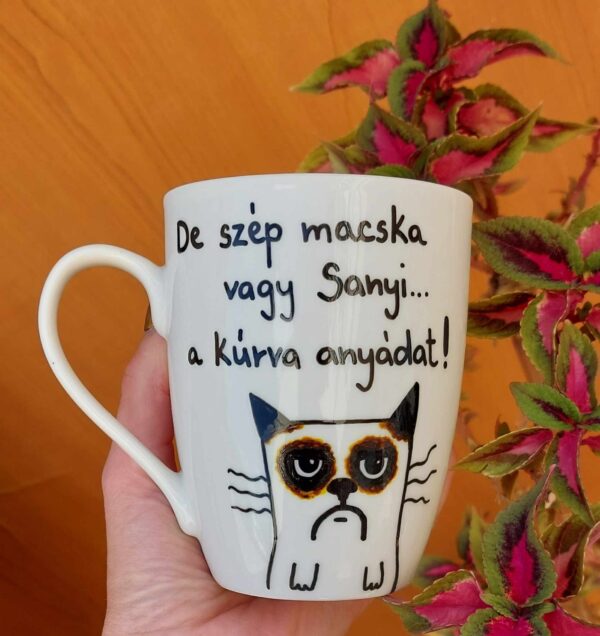 Sanyi - De szép macska vagy Sanyi... a kúr*a anyádat!