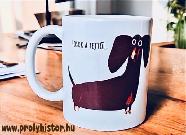 Fosok a tejtől! - Laktózmentes bögrécske