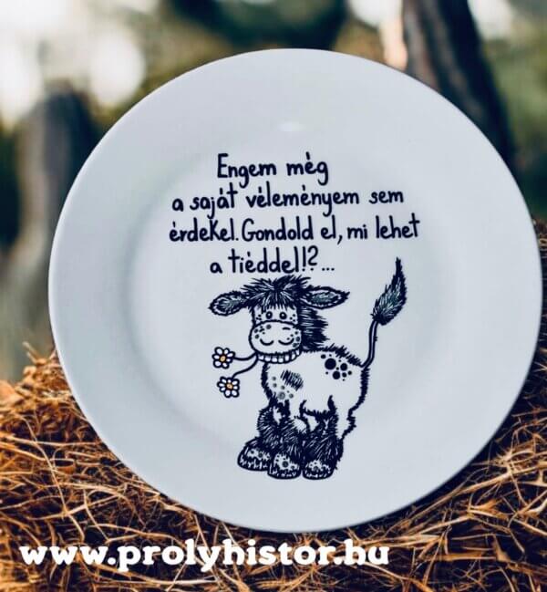 Engem még a saját véleményem sem érdekel - vélemények tányérka