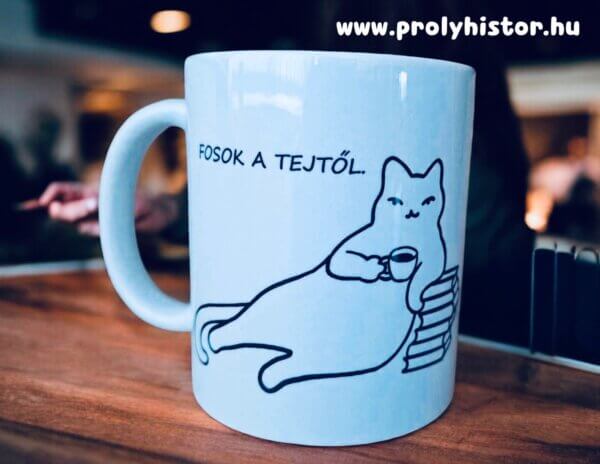 Fosok a tejtől! - Laktózmentes bögrécske (macska)