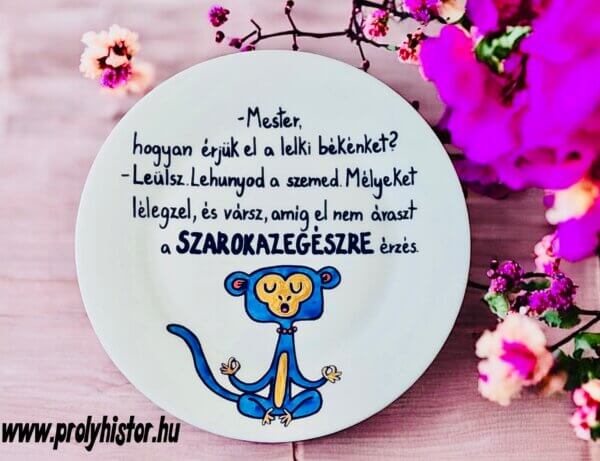Szarok az egészre tányérka