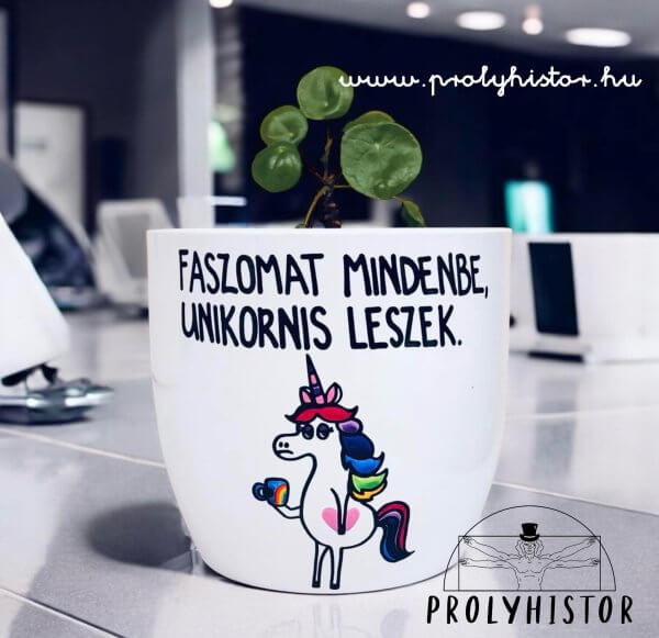 Faszomat mindenbe, unikornis leszek.