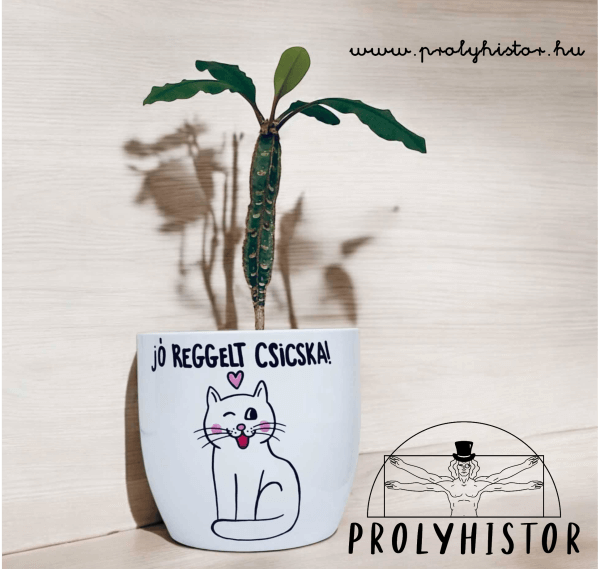 Jó reggelt csicska! - kaspó