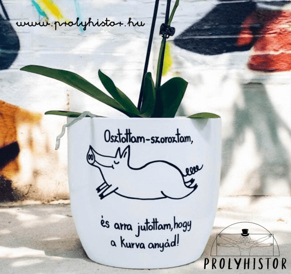 Osztottam-szoroztam, és arra jutottam, hogy a kurva anyád!