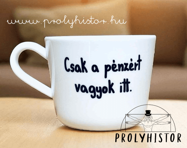 Csak a pénzért vagyok itt.