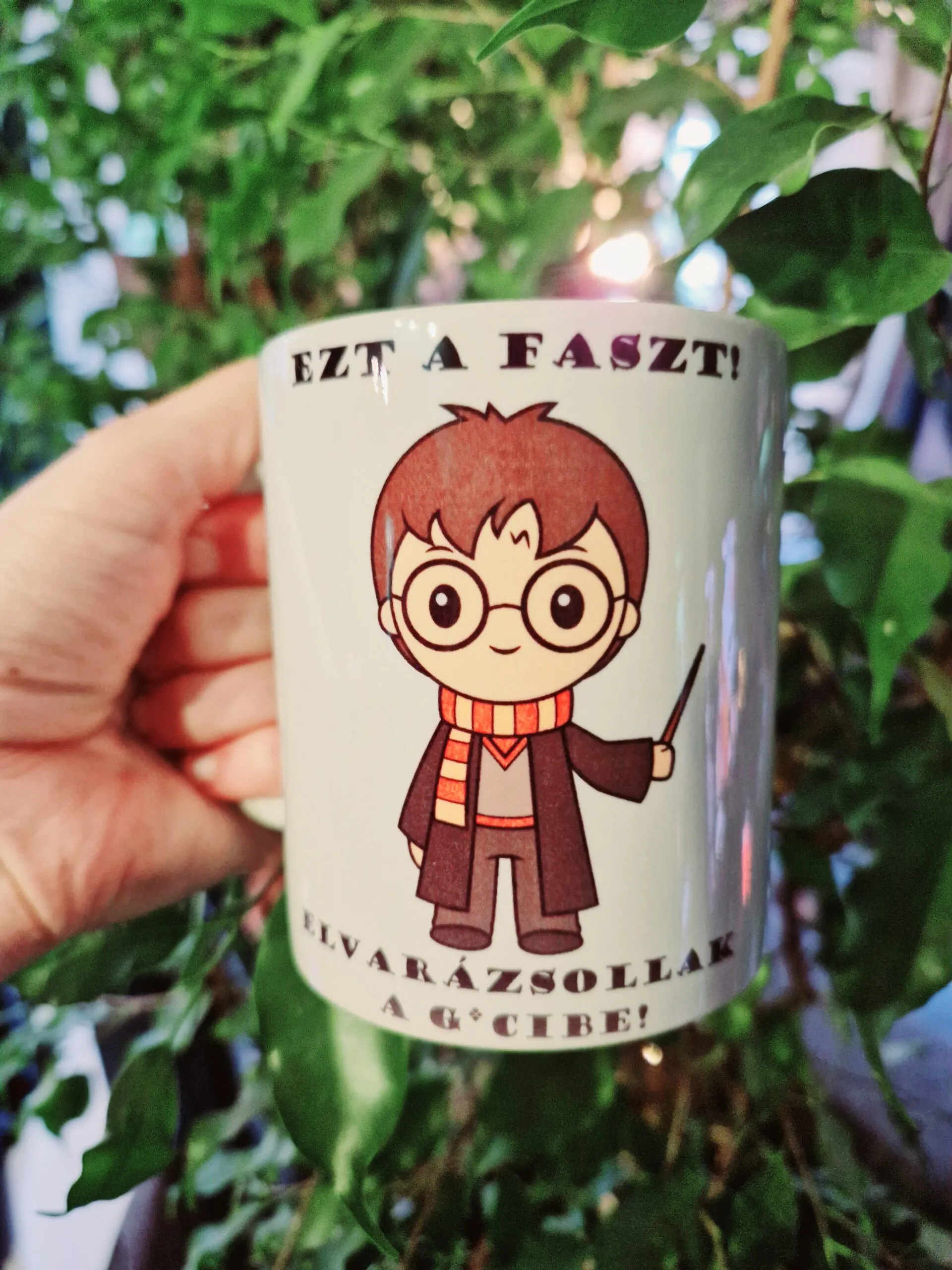 Potter - Ezt a faszt! Elvarázsollak a g*cibe!