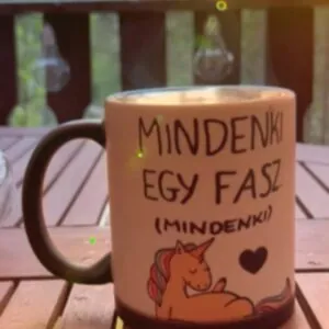 Mindenki egy fasz (hőre változó varázs bögre)