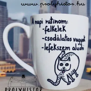 A napi rutinom: felkelek, csodálatos vagyok, lefekszem aludni