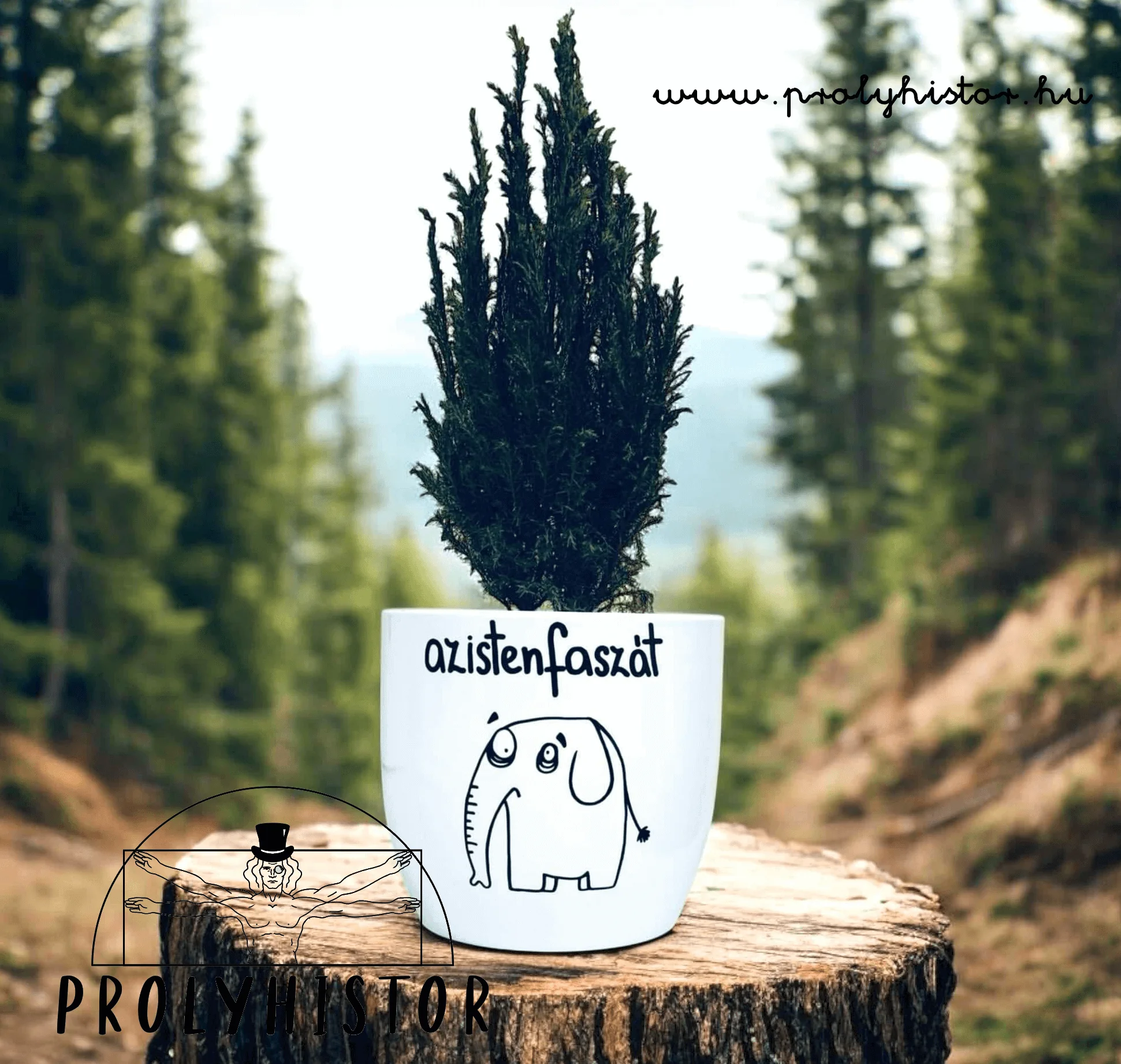 azistenfaszát - kaspó