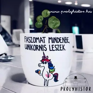 Faszomat mindenbe, unikornis leszek.