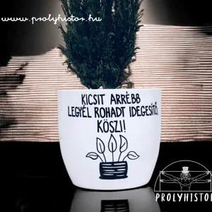 Kicsit arrébb legyél rohadt idegesítő - Kaspó