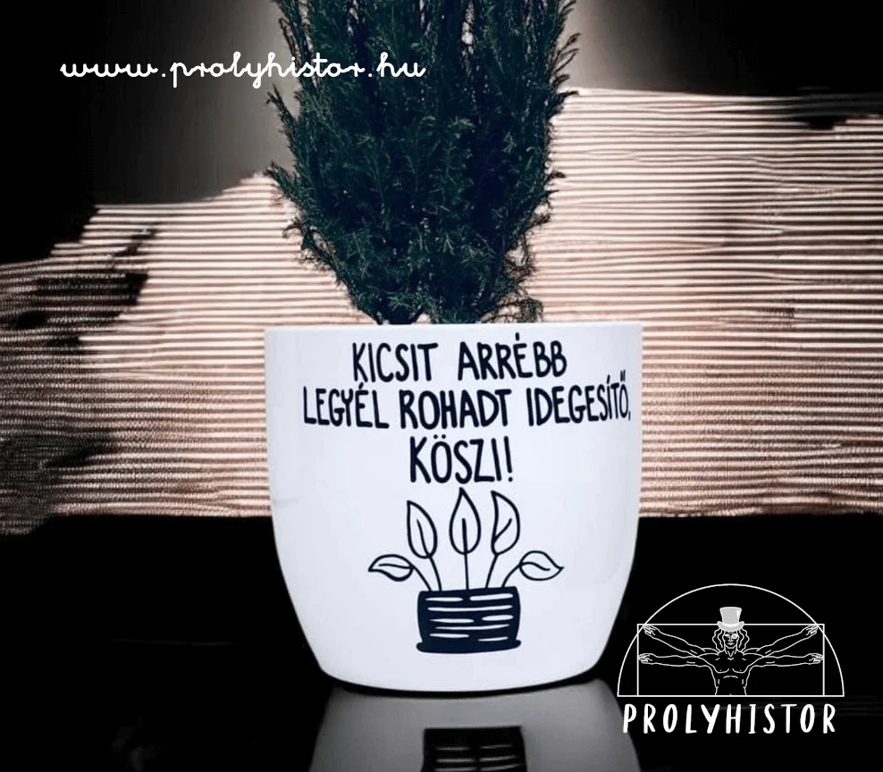 Kicsit arrébb legyél rohadt idegesítő - Kaspó