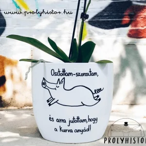 Osztottam-szoroztam, és arra jutottam, hogy a kurva anyád!