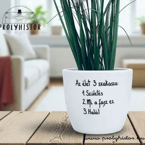 Az élet 3 szakasza - Kaspó