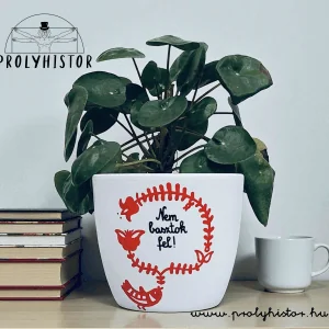 Nem basztok fel! - Kaspó